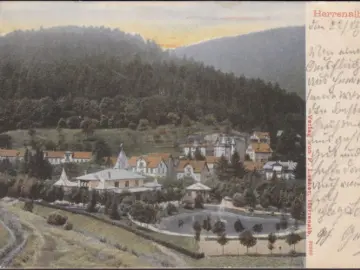 AK Bad Herrenalb, Stadtansicht, gelaufen 1905