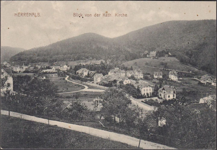AK Bad Herrenalb, Blick von der Kirche, Stadtansicht, gelaufen 1913