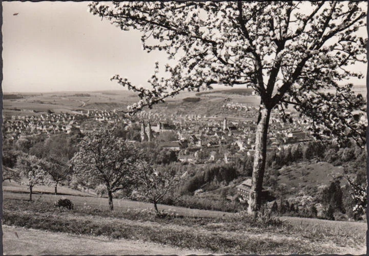 AK Bad Mergentheim, Panoramaansicht, ungelaufen-datiert 1956