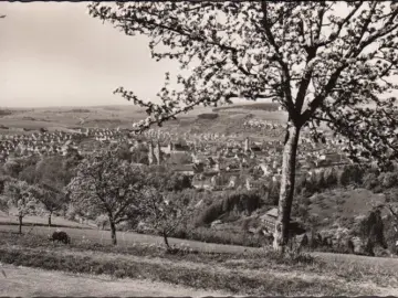 AK Bad Mergentheim, Panoramaansicht, ungelaufen-datiert 1956