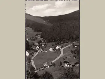 AK Bad Rippoldsau, Holzwald, Ortsansicht, gelaufen 1961