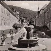 AK Bad Teichnach, Blick aus dem Portal des Hotels, Brunnen, gelaufen 1955