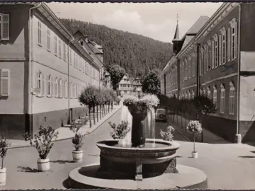 AK Bad Teichnach, Blick aus dem Portal des Hotels, Brunnen, gelaufen 1955