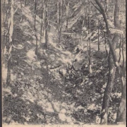 AK Gruss von der Begerburg, Fiedlergrung, gelaufen 1914