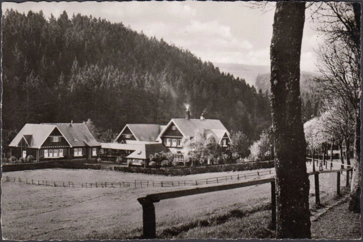 AK Daun, Das Eifel Heim, Gesellschaft für Kaufmanns Erholungsheime, gelaufen 1956