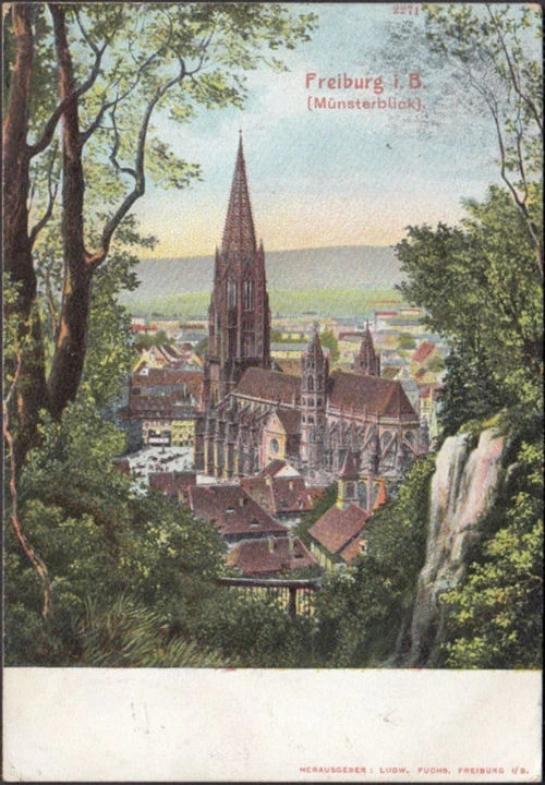 AK Freiburg, Münsterblick, Stadtansicht, gelaufen 1907