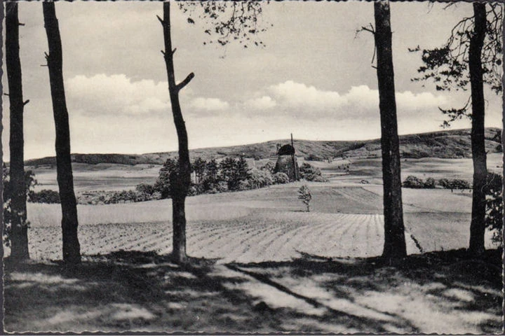 AK Rodenberg, An der Windmühle, ungelaufen-datiert 1956
