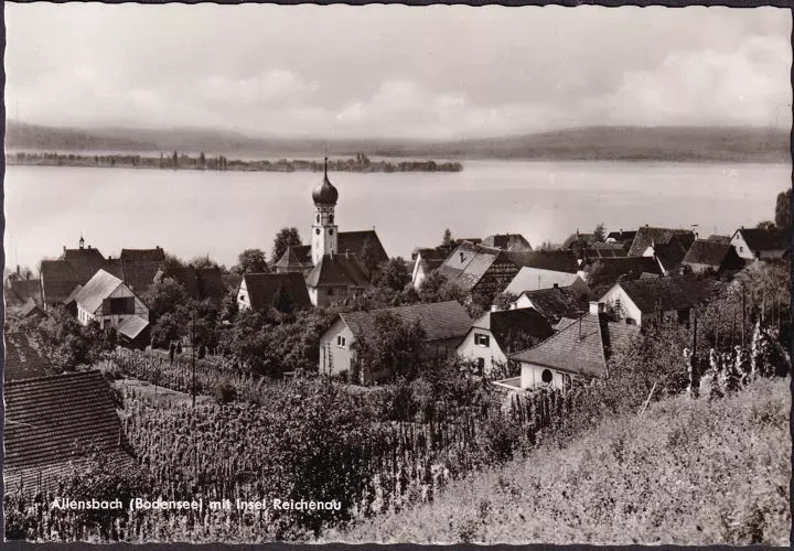AK Allensbach mit Insel Reichenau, ungelaufen