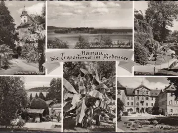 AK Insel Mainau, Schlosskirche, Bananenstaude, Inselansicht, gelaufen 1955