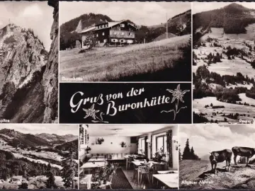 AK Wertach, Gruss von der Buronhütte, Gastraum, Alpvieh, gelaufen 1962